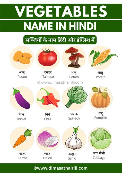 30 vegetables name hindi and english